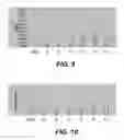 Fig. 10 - Bidirectional stent and method of use thereof