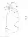 Fig. 07 - EYEWEAR COMPONENT WITH REPLACEABLE LENS