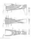 Fig. 19 - Functional sock