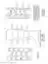 Fig. 29 - Functional sock