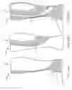 Fig. 31 - Functional sock