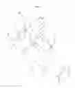 Fig. 04 - Garment for a hand