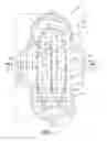 Fig. 02 - Absorbent article with partially separable, skin-contacting topsheet layer