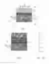 Fig. 04 - Moisture control system