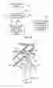 Fig. 04 - Ceiling lift tilt management system