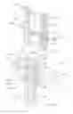 Fig. 13 - Pinless loading for spine table