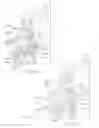 Fig. 19 - Pinless loading for spine table