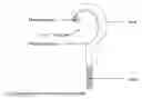 Fig. 01 - Massage and Scrub Device
