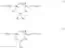 Fig. 19 - Dye composition comprising a para-phenylenediamine oxidation base and an amphoteric or cationic polymer in a medium rich in fatty substances
