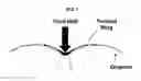 Fig. 02 - Lipid multiparticulate formulations