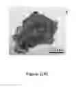 Fig. 02 - Process for forming a substance with a superstructure and application thereof