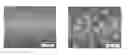 Fig. 01 - Stealth nanocapsules for protein delivery