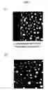 Fig. 05 - PHARMACEUTICAL PREPARATION