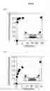 Fig. 07 - PHARMACEUTICAL PREPARATION