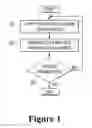 Fig. 02 - ONYCHOMYCOSIS TREATMENT SYSTEM AND METHOD