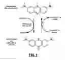 Fig. 02 - METHOD OF TREATING OR PREVENTING OSTEOPOROSIS