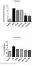 Fig. 08 - Method of treating obesity with chlorogenic acid