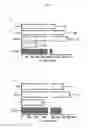 Fig. 06 - Compositions and methods for cell transplantation