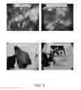 Fig. 09 - Stabilizing composition for biological materials