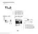 Fig. 06 - sp. bacteria and minicell derived therefrom, and use thereof
