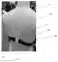 Fig. 04 - CHEST PROTECTOR AND REMOVABLE AND ADJUSTABLE STRAPS