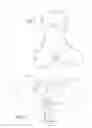 Fig. 02 - SPECIAL PURPOSE MANNEQUIN