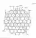 Fig. 01 - HONEYCOMB STRUCTURED BODY