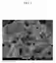 Fig. 02 - Preparation method of super absorbent polymer
