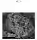 Fig. 04 - Preparation method of super absorbent polymer