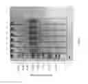 Fig. 09 - Dispersive pipette extraction system for purification of large biomolecules