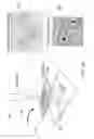Fig. 03 - Systems and Methods for Determining Probative Samples and Isolation and Quantitation of Cells