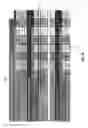 Fig. 09 - METHOD AND APPARATUS FOR SETTING UP WELDING PARAMETERS