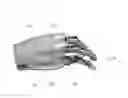 Fig. 01 - ROBOT HAND APPARATUS AND ROBOT ARM FOR SAME