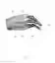 Fig. 02 - ROBOT HAND APPARATUS AND ROBOT ARM FOR SAME