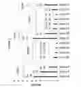 Fig. 06 - Scratch-resistant and optically transparent materials and articles