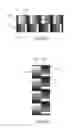 Fig. 07 - OPTICAL SECURITY COMPONENT WITH REFLECTIVE EFFECT, PRODUCTION OF SUCH A COMPONENT AND SECURE DOCUMENT PROVIDED WITH SUCH A COMPONENT