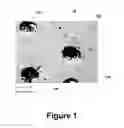 Fig. 02 - Process of forming an identification marking, and an identification marking formed by way of such a process