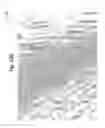 Fig. 12 - Door skin, a method of etching a plate for forming a wood grain pattern in the door skin, and an etched plate formed therefrom