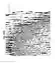 Fig. 13 - Door skin, a method of etching a plate for forming a wood grain pattern in the door skin, and an etched plate formed therefrom