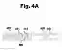 Fig. 08 - Collective Transportation Systems