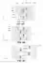 Fig. 07 - Multi-tread vehicles and methods of operating thereof