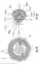 Fig. 18 - Rotational joint for an aircraft folding wing and method of assembly