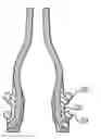 Fig. 01 - Propeller blades