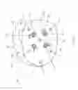 Fig. 22 - Apparatus and methods of opening containers