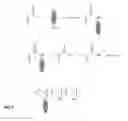 Fig. 07 - Fluorescent water treatment compounds and method of use