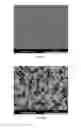 Fig. 06 - Method of preparing a multimodal cubic boron nitride powder