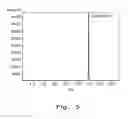 Fig. 07 - CO2-MEDIATED ETHERIFICATION OF BIO-BASED DIOLS