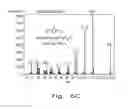Fig. 09 - CO2-MEDIATED ETHERIFICATION OF BIO-BASED DIOLS