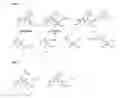 Fig. 02 - Peripherally substituted monocyclic beta-lactams
