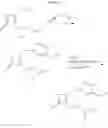 Fig. 35 - Peripherally substituted monocyclic beta-lactams